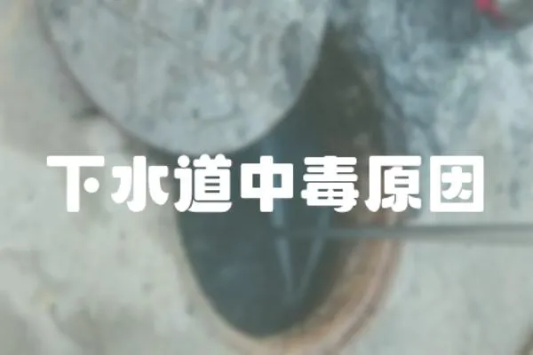 下水道中毒原因
