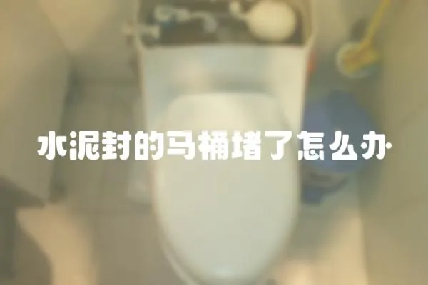 水泥封的馬桶堵了怎么辦