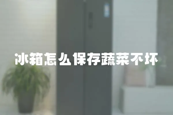 冰箱怎么保存蔬菜不壞