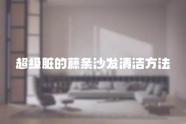 超級臟的藤條沙發清潔方法