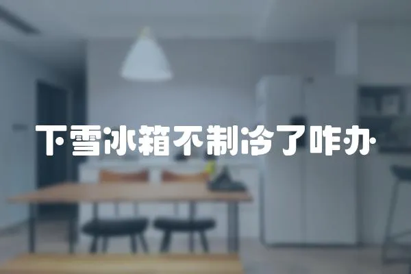 下雪冰箱不制冷了咋辦