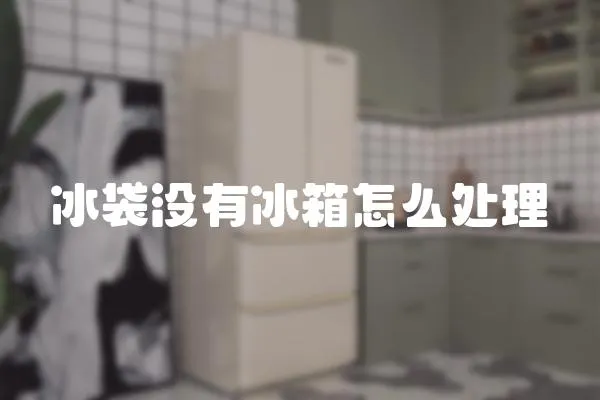 冰袋沒有冰箱怎么處理