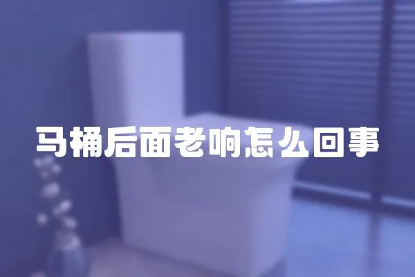 馬桶后面老響怎么回事