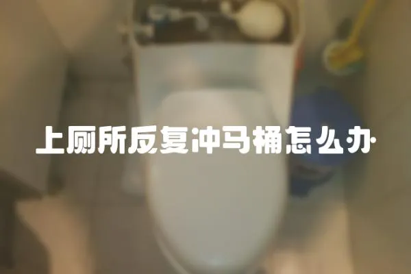 上廁所反復(fù)沖馬桶怎么辦