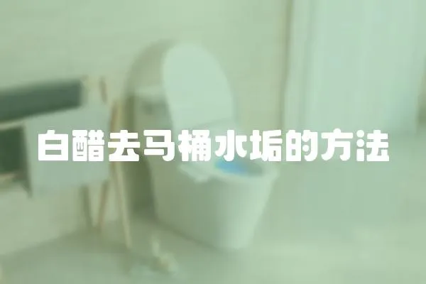 白醋去马桶水垢的方法