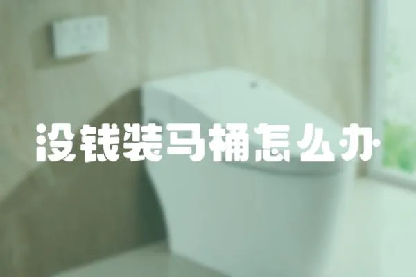 沒錢裝馬桶怎么辦