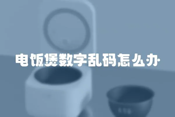 電飯煲數(shù)字亂碼怎么辦