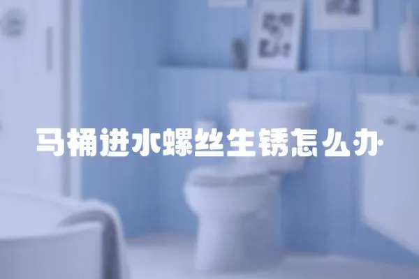 馬桶進水螺絲生銹怎么辦