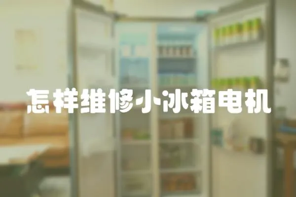 怎樣維修小冰箱電機(jī)