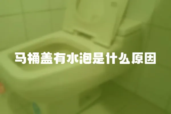馬桶蓋有水泡是什么原因
