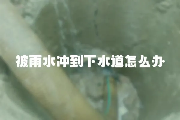 被雨水沖到下水道怎么辦