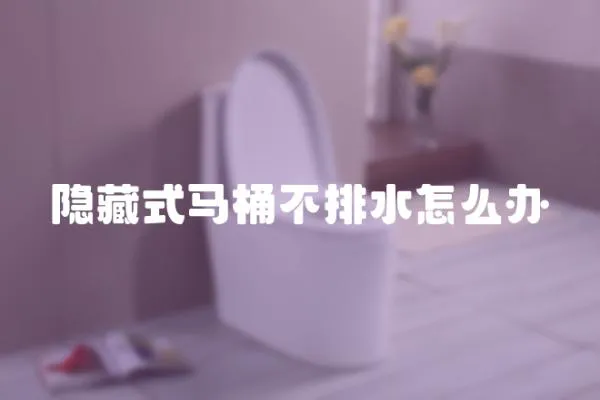 隱藏式馬桶不排水怎么辦