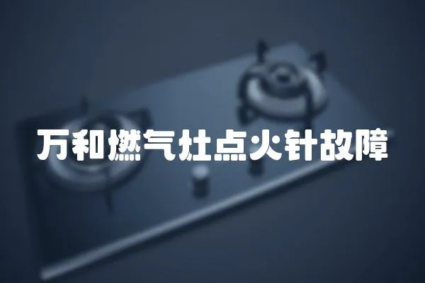 萬和燃氣灶點火針故障