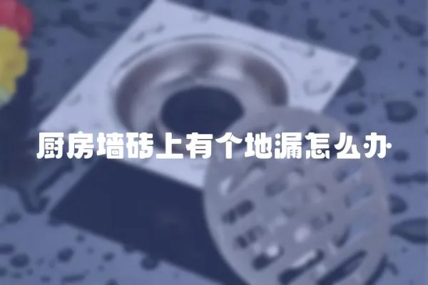 廚房墻磚上有個地漏怎么辦