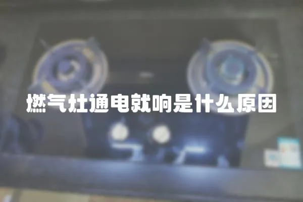 燃?xì)庠钔娋晚懯鞘裁丛? loading=