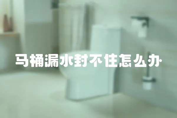 馬桶漏水封不住怎么辦
