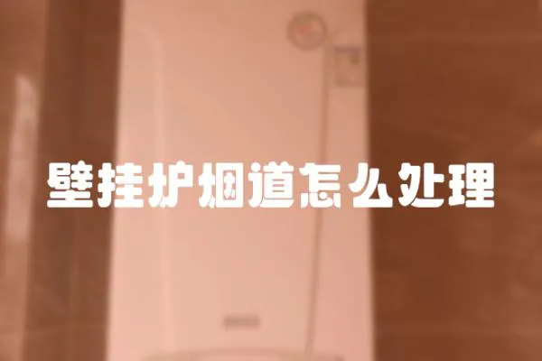 壁掛爐煙道怎么處理