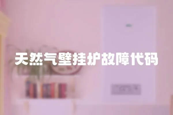 天然氣壁掛爐故障代碼