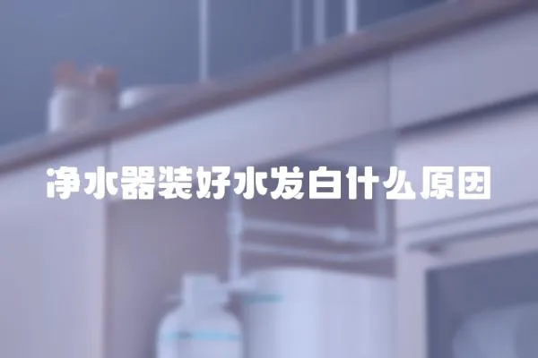 凈水器裝好水發白什么原因