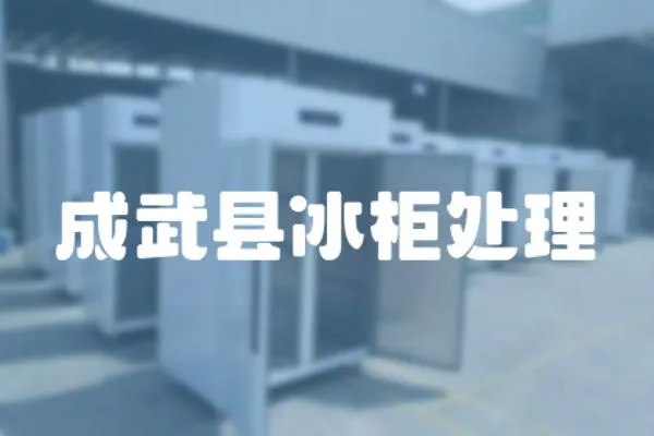 成武縣冰柜處理