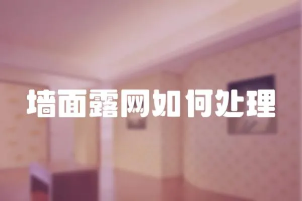 墻面露網如何處理