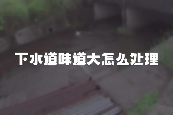 下水道味道大怎么處理