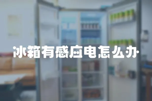 冰箱有感應(yīng)電怎么辦