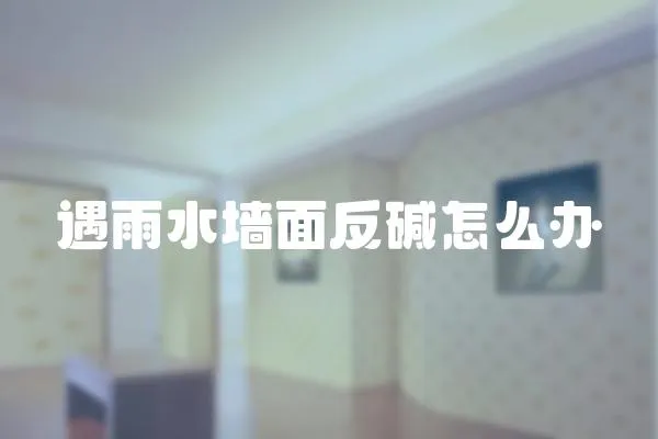 遇雨水墻面反堿怎么辦
