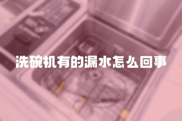 洗碗機有的漏水怎么回事