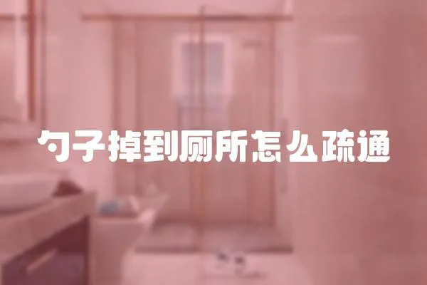 勺子掉到廁所怎么疏通