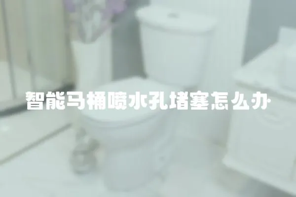 智能马桶喷水孔堵塞怎么办