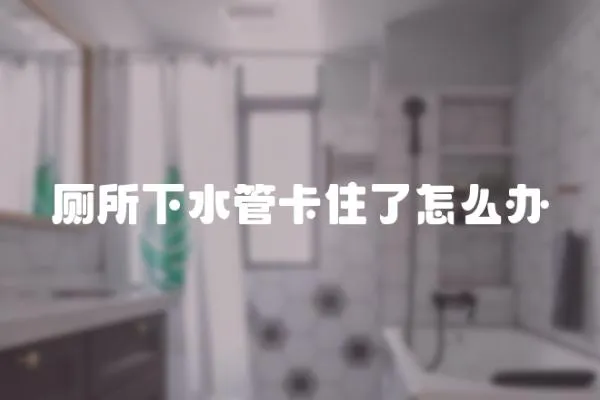 廁所下水管卡住了怎么辦