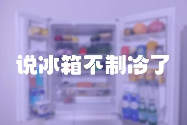 說冰箱不制冷了