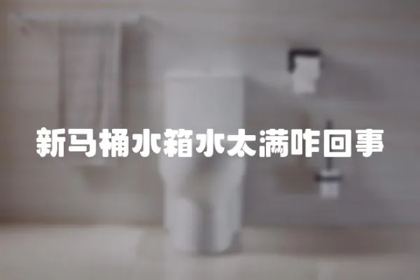 新馬桶水箱水太滿咋回事