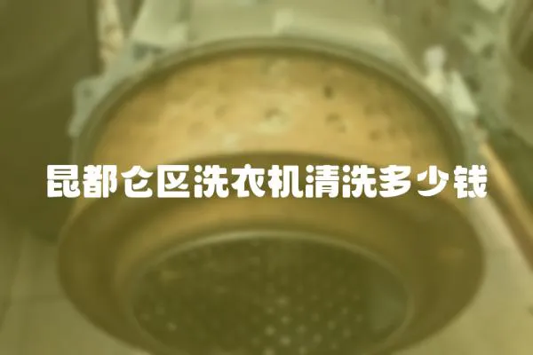 昆都侖區洗衣機清洗多少錢