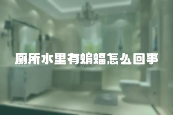 廁所水里有蝙蝠怎么回事