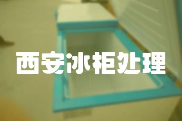 西安冰柜處理