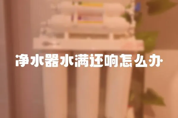 凈水器水滿還響怎么辦