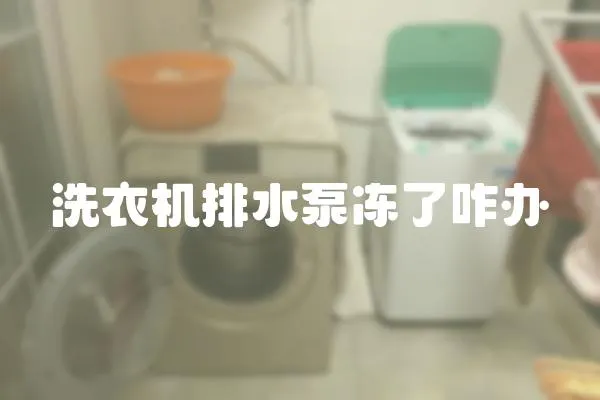 洗衣機排水泵凍了咋辦