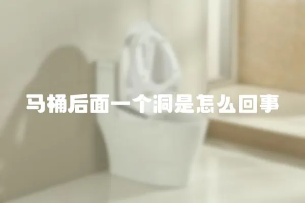 馬桶后面一個洞是怎么回事