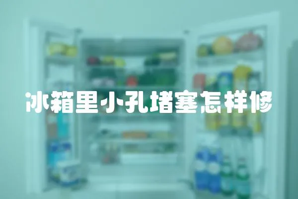 冰箱里小孔堵塞怎樣修