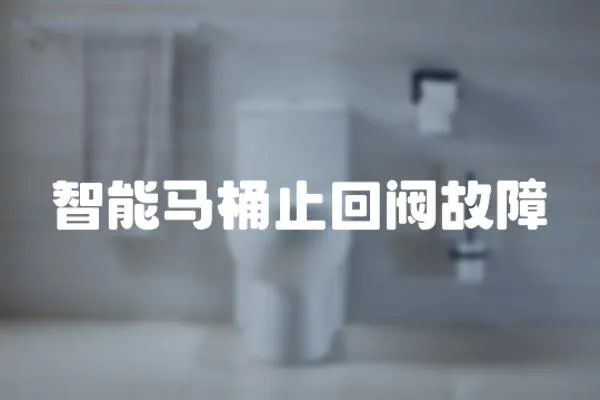 智能馬桶止回閥故障