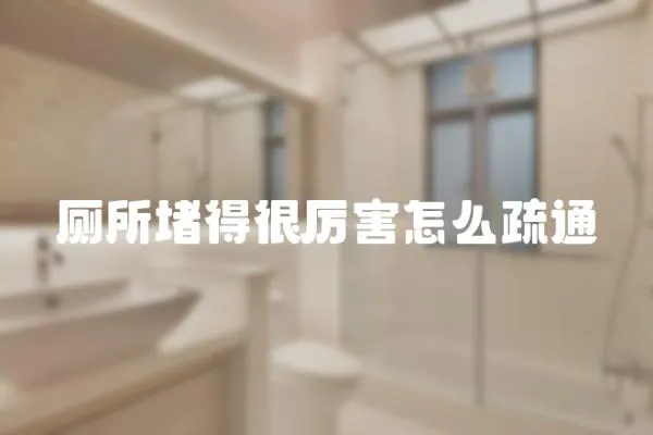 廁所堵得很厲害怎么疏通