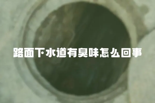 路面下水道有臭味怎么回事