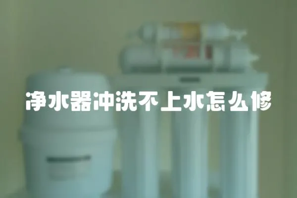 凈水器沖洗不上水怎么修