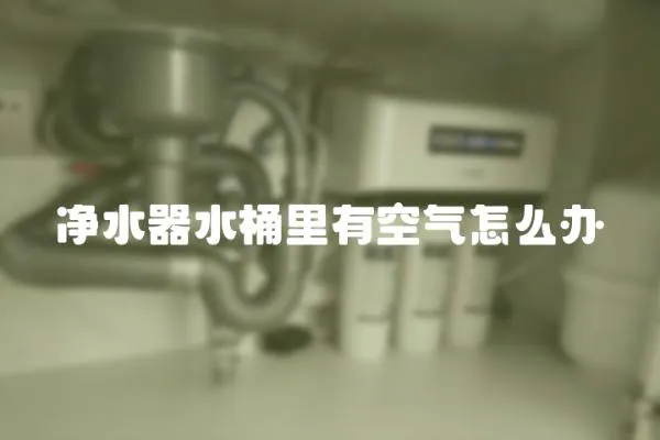 凈水器水桶里有空氣怎么辦