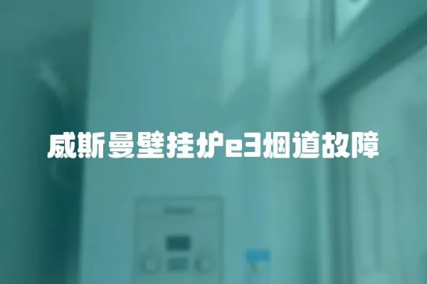 威斯曼壁掛爐e3煙道故障