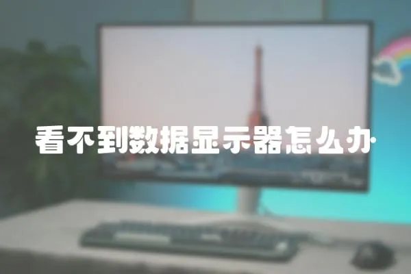 看不到數據顯示器怎么辦