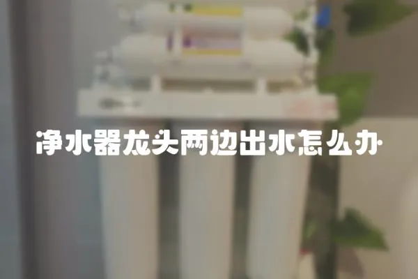 凈水器龍頭兩邊出水怎么辦