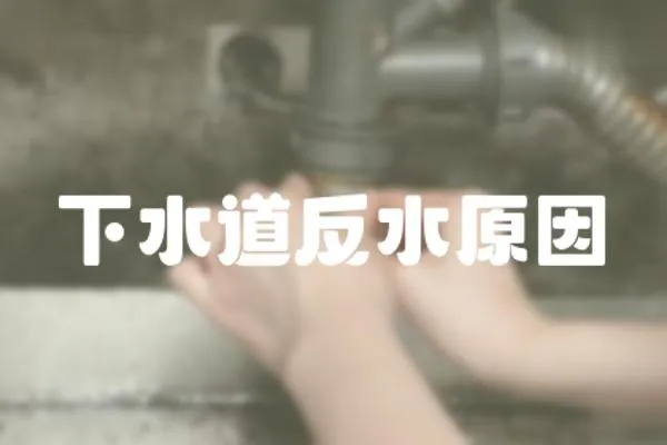 下水道反水原因